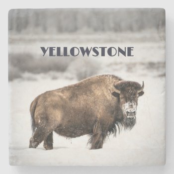 Yellowstone Snowy Buffalo Souvenir Coaster by YellowSnail at Zazzle