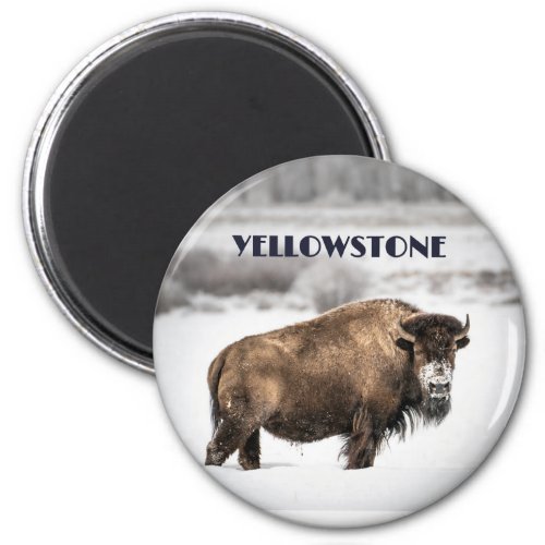 Yellowstone Snowy Buffalo Souvenir Magnet