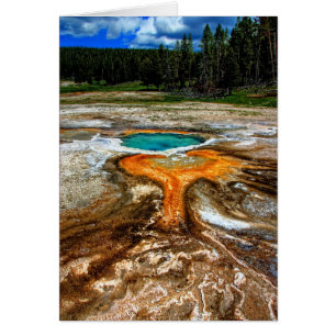 Yellowstone Thermal Pool