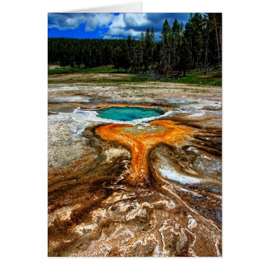 Yellowstone Thermal Pool Cards (Front)