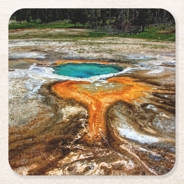 Yellowstone Thermal Pool Square Paper Coaster (Front)