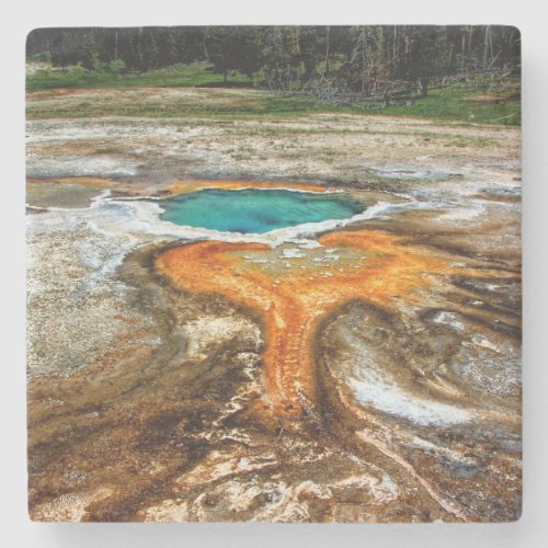 Yellowstone Thermal Pool Stone Coaster