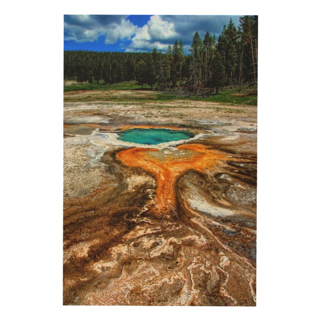 Yellowstone Thermal Pool Wood Wall Decor (Front)