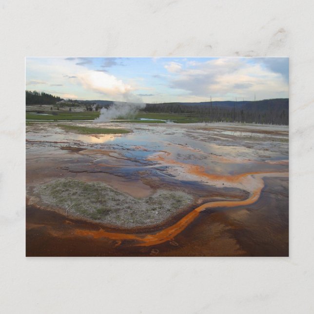 Yellowstone Thermal Pools Postcard (Front)