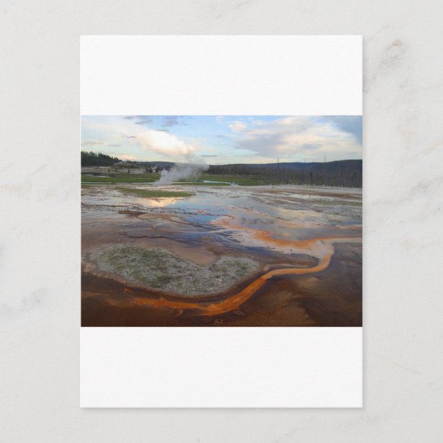 Yellowstone Thermal Pools Postcard (Front)