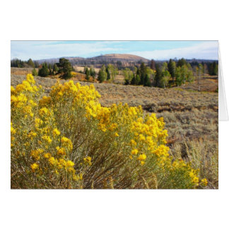 Yellowstone vista cards
