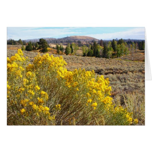 Yellowstone vista cards (Front Horizontal)