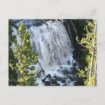 Yellowstone Waterfall Postcard