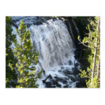 Yellowstone Waterfall Postcard