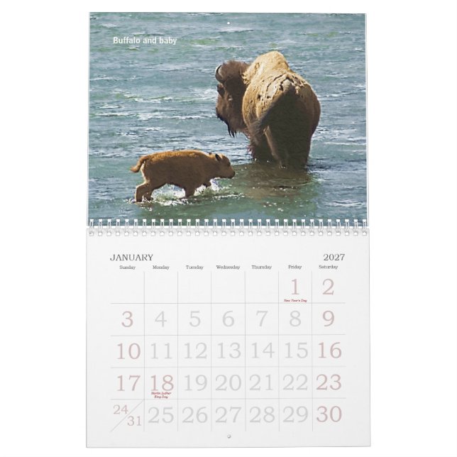 Yellowstone Wildlife 2008 Calendar (Jan 2027)