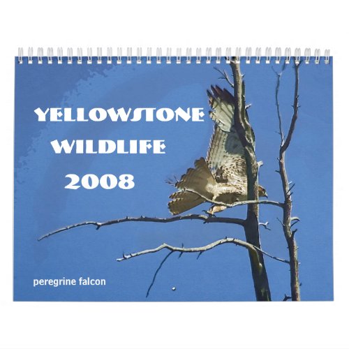 Yellowstone Wildlife 2008 Calendar