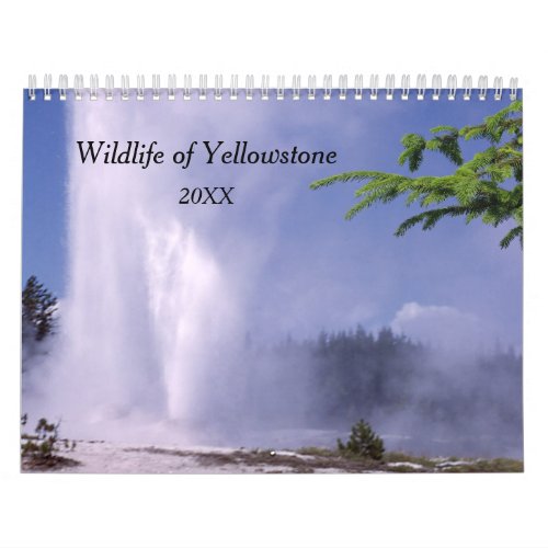 Yellowstone Wildlife Calendar