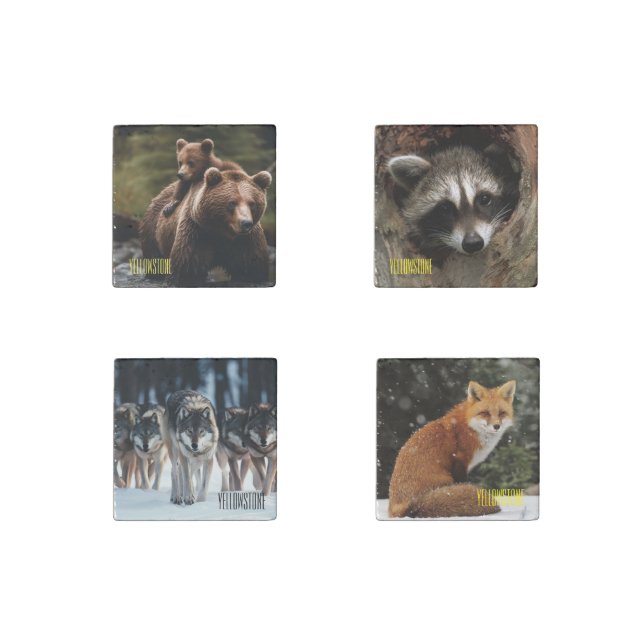 Yellowstone Wildlife Stone Magnet Set (Front)