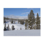 Yellowstone Winter Landscape Photography Postcard