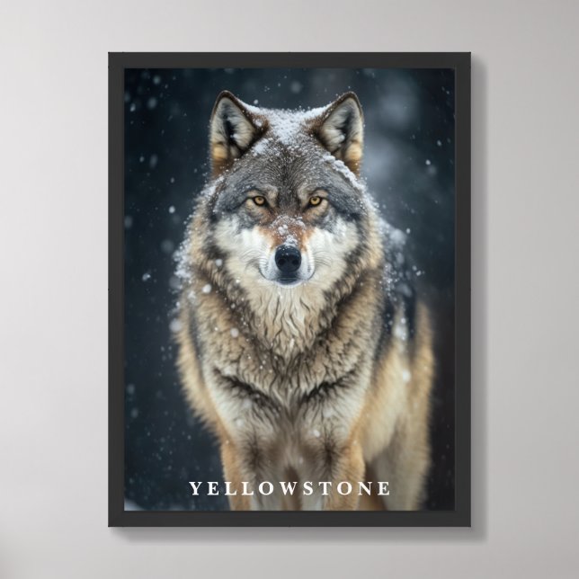 Yellowstone Wolf Poster (Framed Front)