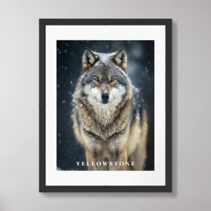 Yellowstone Wolf Poster