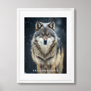 Yellowstone Wolf Poster