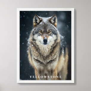 Yellowstone Wolf Poster
