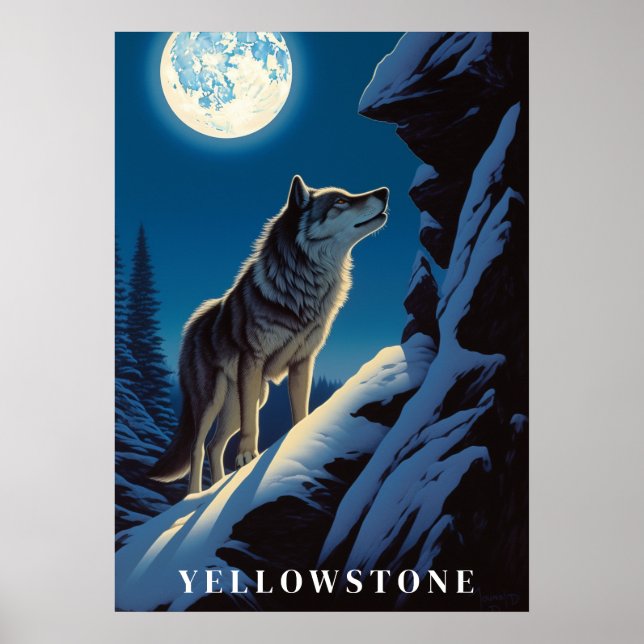 Yellowstone Wolf Poster Art  (Front)
