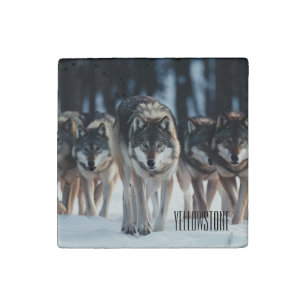 Yellowstone Wolf Stone Magnet
