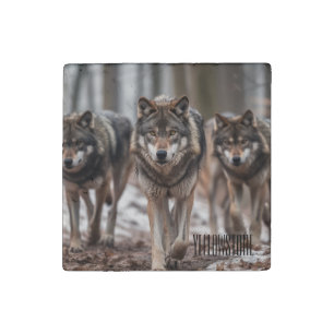 Yellowstone Wolf Stone Magnet