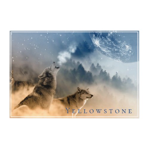 Yellowstone Wolves Acrylic Art Print 30x20