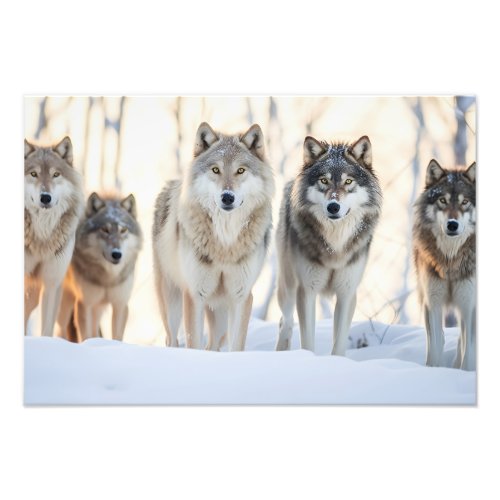 Yellowstone Wolves Photo Print