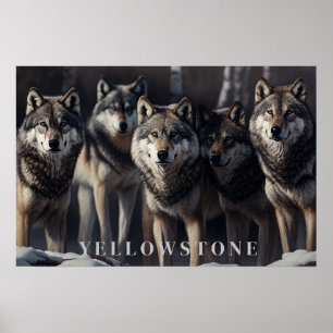 Yellowstone Wolves Poster Art