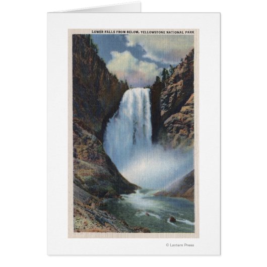 Yellowstone, WYLower Falls from Below View Cards (Front)