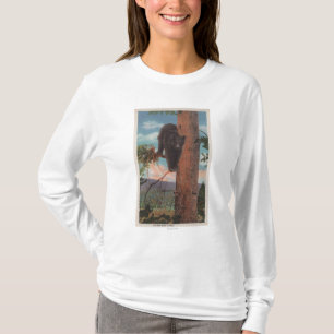 Yellowstone, WYView of Black Bear in Tree T-Shirt