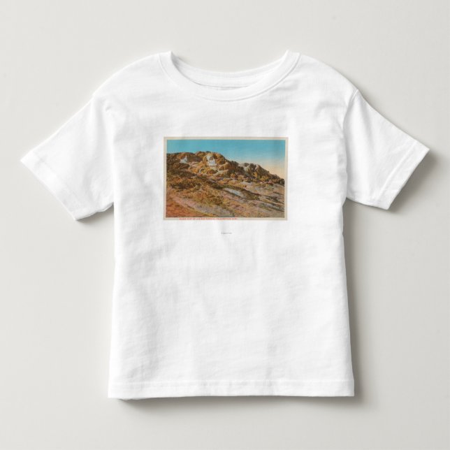 Yellowstone, WYView of Jupiter Terrace Toddler T-shirt (Front)