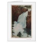 Yellowstone, WYView of Yellowstone River Falls (Front)