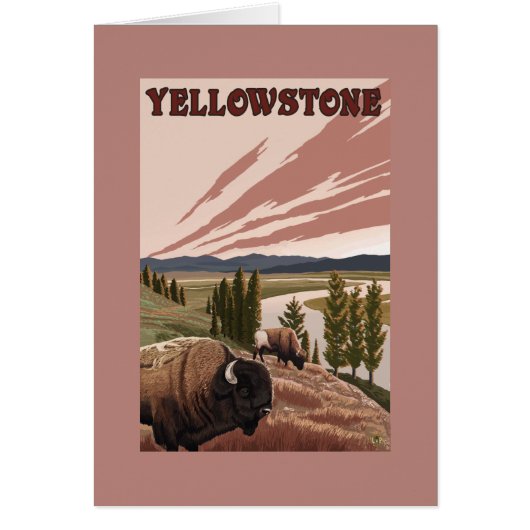 YellowstoneBison Scene (Front)