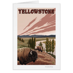 YellowstoneBison Scene Cards