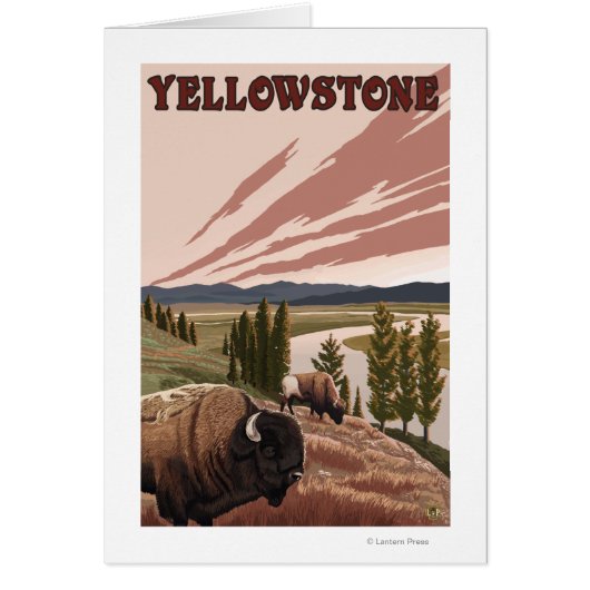 YellowstoneBison Scene Cards (Front)