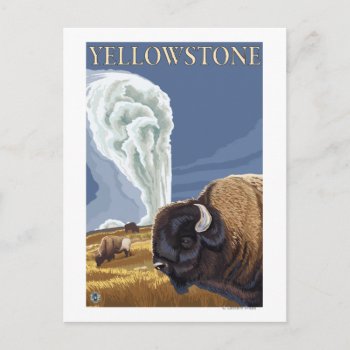 Yellowstonebison With Old Faithful Postcard by LanternPress at Zazzle