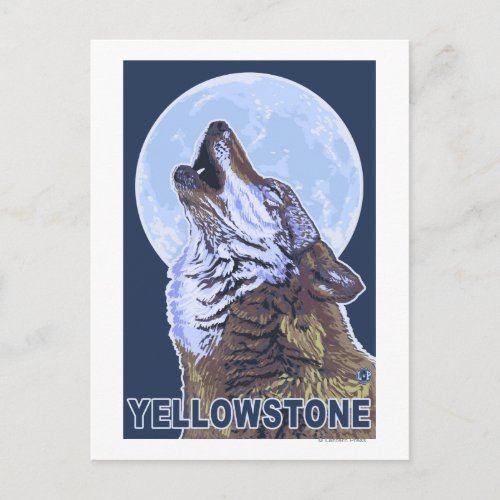 YellowstoneHowling Wolf Postcard