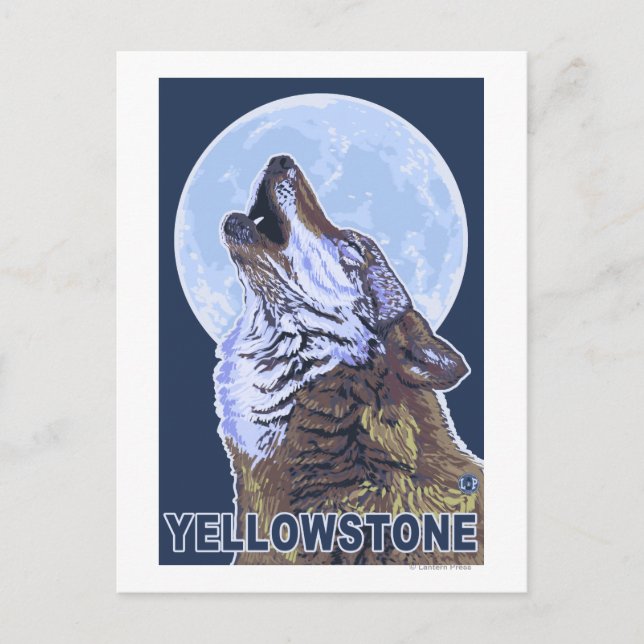 YellowstoneHowling Wolf Postcard (Front)