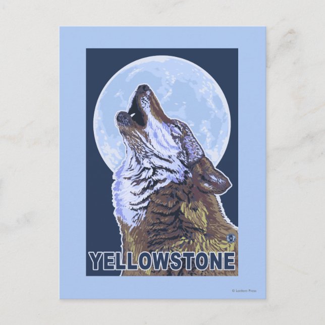 YellowstoneHowling Wolf Postcard (Front)