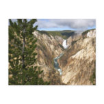 Yellowstone's Artist Point Postcard
