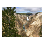 Yellowstone's Artist Point Poster
