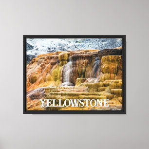 Yellowstone's Mammoth Hot Springs Canvas Print