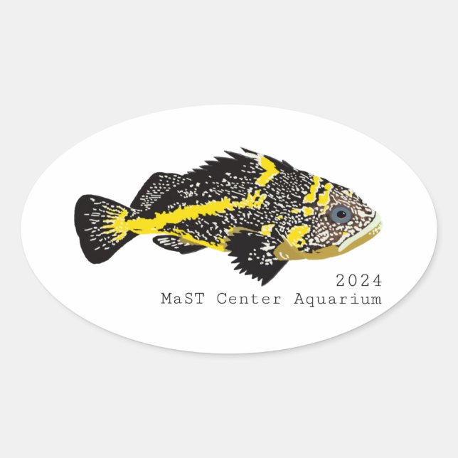 Yellowstripe Rockfish 2024 -Classic Round Stickers (Front)