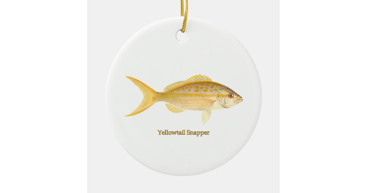 Yellowtail Snapper Ceramic Ornament | Zazzle
