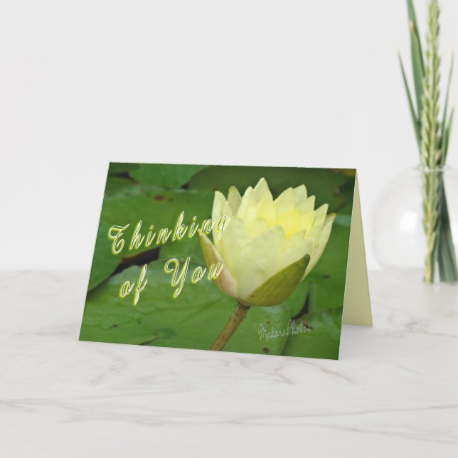 YellowWaterLily-customize Card (Front)