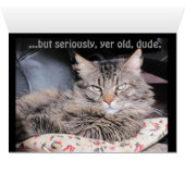 Yer Old Dude. Cards (Inside Horizontal (Bottom))