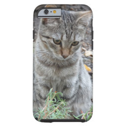 Yes I am cute Cat Photo  iPhone 6/6s, Tough Tough iPhone 6 Case