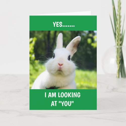 YES I AM LOOKING AT YOU EASTER HUMOR HOLIDAY CARD