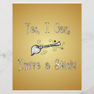 Yes, I Can Drive a Stick! Flyer