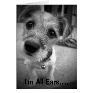 Yes Master, I'm All Ears Cards